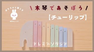 【おもちゃと暮らす】　チューリップ　エドインター　シロフォン　木琴