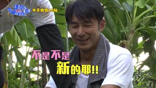 【請問今晚住誰家】EP246 採收香蕉需技巧 兄弟用刀比實力？！李李仁、肯納、張書偉  週一至週四晚間10點 東森超視33頻道