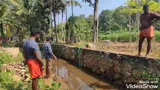 തോട് വറ്റിച്ചു മീൻ പിടിക്കാൻ വന്നപ്പോൾ അവരും വന്നു കുളിക്കാൻ