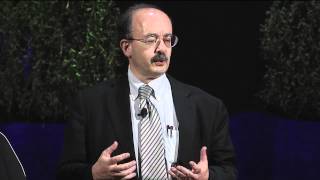 The reinvention of fire: Amory Lovins at TEDxMidwest