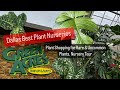 Big Box Store Plant Shopping Alternative Shop Local Plant Nursery Green Acres Nursery and Supply