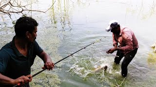 Amazing 🎣 Hook Fishing Forest Area BiG Rohu Fishes In Catching