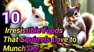 10 Irresistible Foods That Squirrels Love to Munch On!