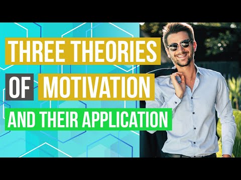 What is the theory that views employees as not wanting to work and must be forced to perform?