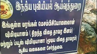 தேசிய கல்மரப் பூங்கா திருவக்கரை கலாம் விதைகளின் விருட்சம் சமூக இயக்கம் ஓர் அறிவியல் ஆய்வு!