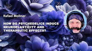 How do psychedelics induce neuroplasticity and therapeutic effects? – Rafael Moliner