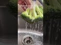 How to wash broccoli: the proper way to wash broccoli #shorts  #food  #howto  #broccoli