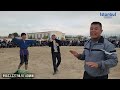 qashqadaryoda katta kurash tavoqlar boshlandi 1.11.2024