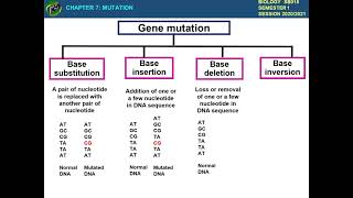 CHAPTER 7(7.1 &7.2) MUTATION