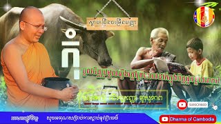 កុំប្រមូលរឿងក្តៅក្រហាយដាក់ក្នុងចិត្តអ្នកពេកអី\\ដោយ៖លោកគ្រូ \\គូសុភាពសូមអនុមោទនា! | Dharma of Cambodia