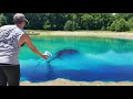 How to Make a Pond Blue - Pond Dye!