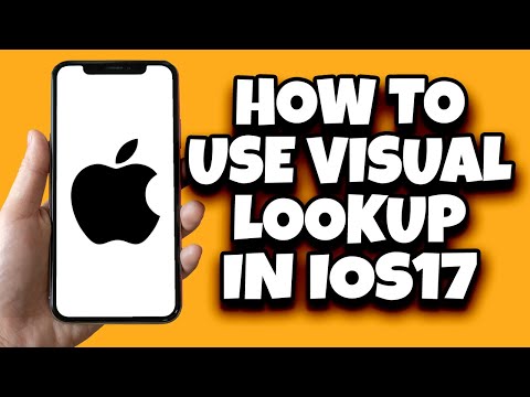 How to Use Visual Search on IOS 17 (Step by Step)