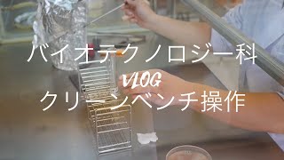 バイオテクノロジー科VLOG　1年生　クリーンベンチ操作　微生物の植え継ぎ