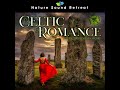 enchanted celtic forest music