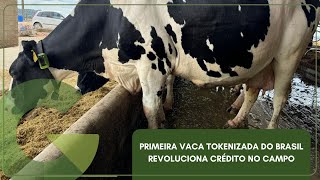 PRIMEIRA VACA TOKENIZADA DO BRASIL REVOLUCIONA CRÉDITO NO CAMPO