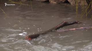 Сброс воды из Симферопольского водохранилища в Салгир