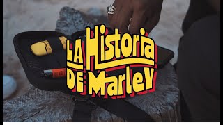 Apache - LA HISTORIA DE MARLEY (Prod. Jotabit) [Visualizer Oficial]