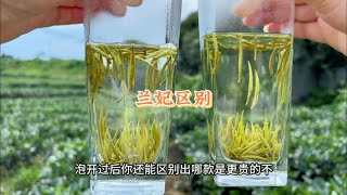 看后茶小白都能明白，都叫兰妃属于兰花茶的茶叶价格为何有悬殊