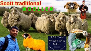 SCOTLAND TRADITIONAL WOOLEN |குளிருக்கு இதமான 100சதவிகித உல்லன் உலகில் இங்கு மட்டுமே நம்பி வாங்கலாம்