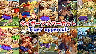 【Evolution】-Sagat Tiger uppercut-   サガット タイガーアッパーカット【CAPCOM】