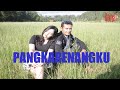 RONAL - PENGKARENANGKU || OFFICIAL MUSIC VIDEO