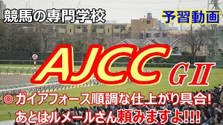 【AJCC2023】ガイアフォース順調な仕上がり具合 他穴馬2頭