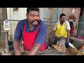 kasimedu 🔥 speed selvam huge cobia fish cutting video 4k video km fish cutting