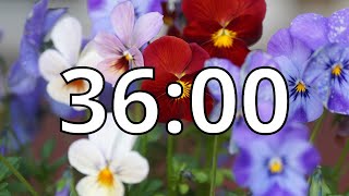 36 Minutes Timer with Music | Spring Timer