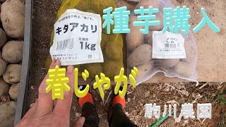 春じゃが種芋購入・そうか病対策　邑南町　駒川農園　22.1.12