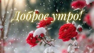 Доброго утра ♥️Хорошего дня♥️ Отличного настроения♥️