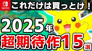 【Switch】絶対に買え！2025年発売の超期待作15選