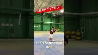 【ソフトテニス】究極シリーズ！全日本選手の驚異のドライブボレー！！ #shorts