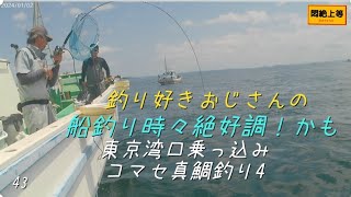 2025年5月5日 剣崎沖でコマセ真鯛釣り。真鯛GWなの？喰いは渋かったけど楽しめました。#一義丸 #剣崎沖 #乗っ込み真鯛 #フォースマスター600 #akaso #船釣り #釣り好きおじさん