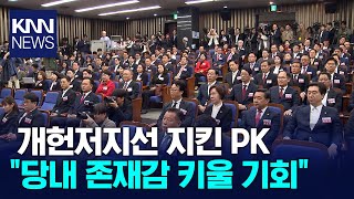 개헌저지선 지킨 PK 여권 '목소리내야' / KNN