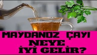 Maydanoz Çayı Neye İyi Gelir?