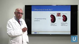 Kidney Disease: What You Should Know | Anjay Rastogi, MD | UCLAMDChat