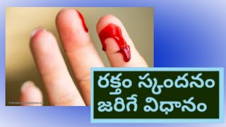 10 తరగతి జీవశాస్త్రం రక్తం ఎలా గడ్డ కడుతుంది ?