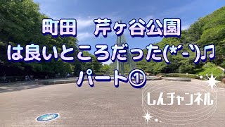 町田　芹ヶ谷公園に行ってきたパート①水遊び編/しんチャンネル