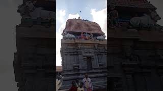 Thirukadaiyur temple