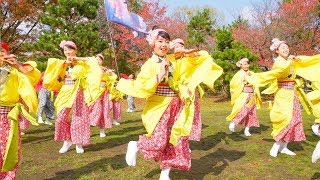 [4K]憂喜世桜　おどるんや秋まつり2017 二の丸会場