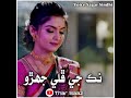Tunhanji nak ji phuli jhero kithe aa naseeb munhanjo ahero || Sagar Sindhi || Full Song
