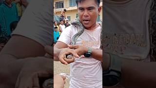 ahas napa atras sa tawas na tapul #shortsvideo #shortsviral #viral #shortsyoutube #shorts