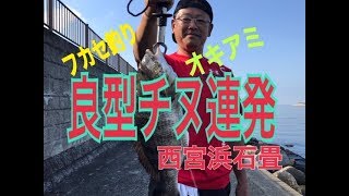 西宮浜石畳 チヌ連発 fishingmax 武庫川