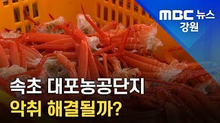 [뉴스리포트]속초 대포농공단지 악취 고통 해결될까? 221031