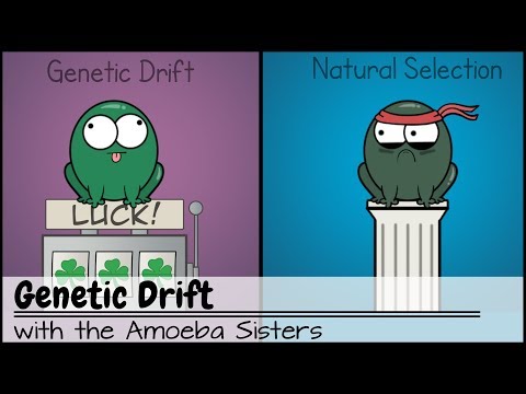 Does natural selection act on neutral alleles?