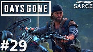 Zagrajmy w Days Gone PL odc. 29 - Podążanie za hordą