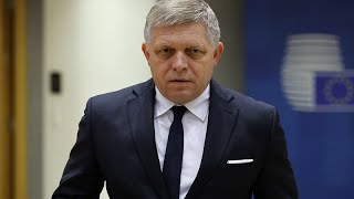 Slovakian PM Robert Fico pledges to prevent Ukraine's NATO bid while in office