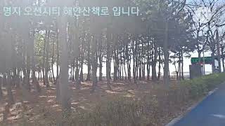 명지오션시티 해안산책로입니다.