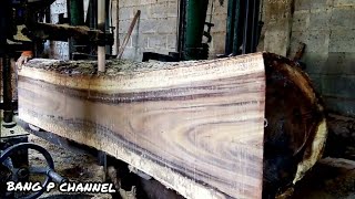 saw mill wood cutting machines.proses penggergajian kayu trembesi/ki hujan/saman. bahan furniture