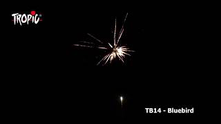 TB14 - Bluebird  - TROPIC Fireworks, Fajerwerki, Feuerwerk, Vuurwerk, Feu d'artifice